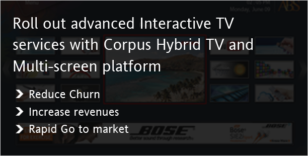 Interactive TV Services with Corpus Hybrid TV